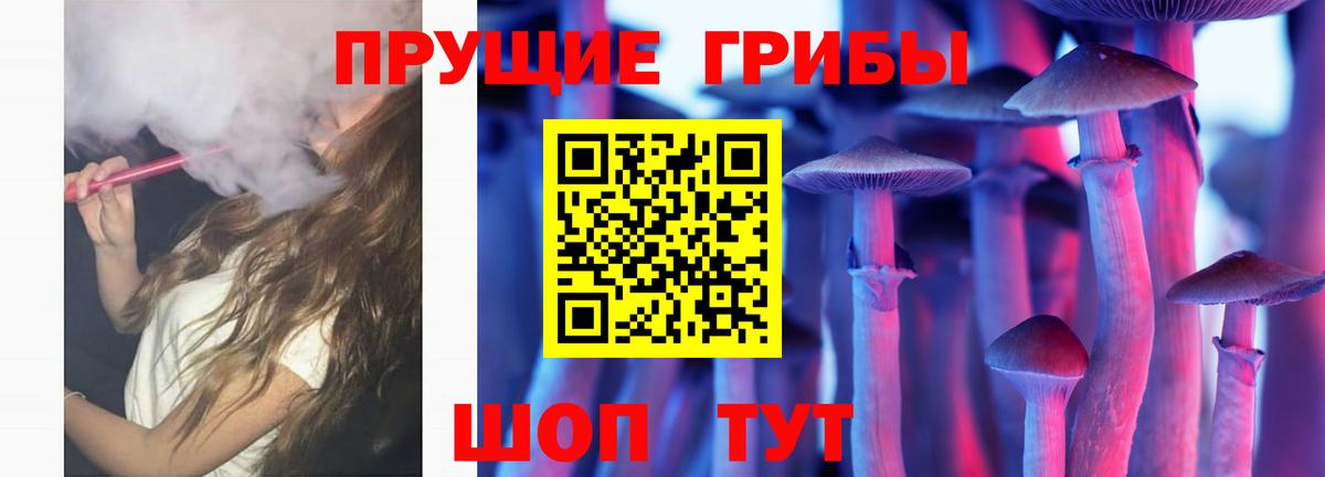 Псилоцибиновые грибы Cubensis  Вход с VPN  Кизилюрт 